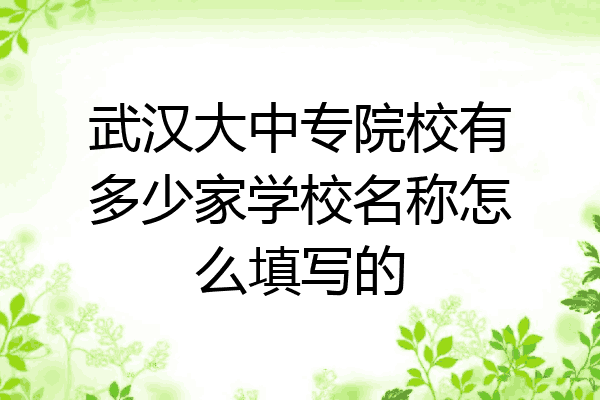 武汉大中专院校有多少家学校名称怎么填写的