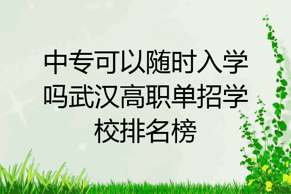 中专可以随时入学吗武汉高职单招学校排名榜
