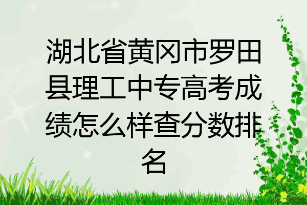 湖北省黄冈市罗田县理工中专高考成绩怎么样查分数排名
