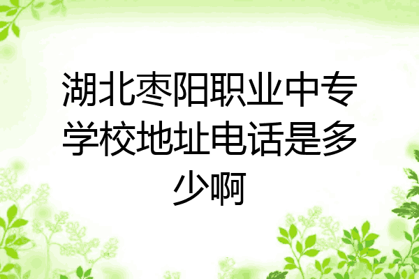 湖北枣阳职业中专学校地址电话是多少啊