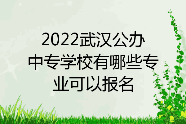 2022武汉公办中专学校有哪些专业可以报名