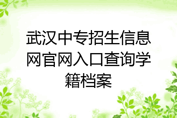 武汉中专招生信息网官网入口查询学籍档案