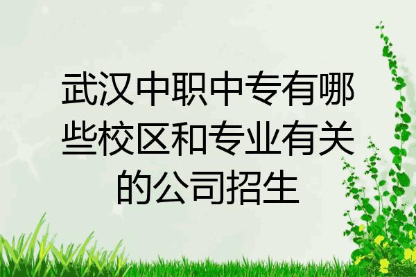 武汉中职中专有哪些校区和专业有关的公司招生