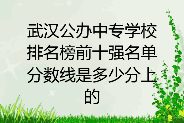武汉公办中专学校排名榜前十强名单分数线是多少分上的