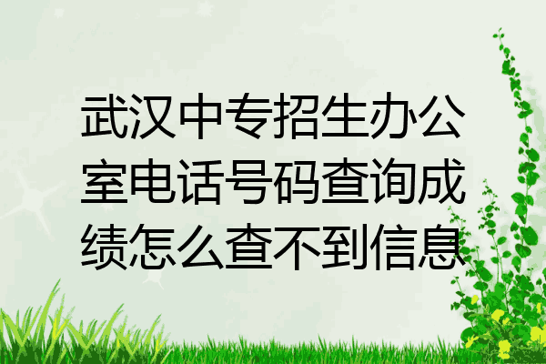 武汉中专招生办公室电话号码查询成绩怎么查不到信息