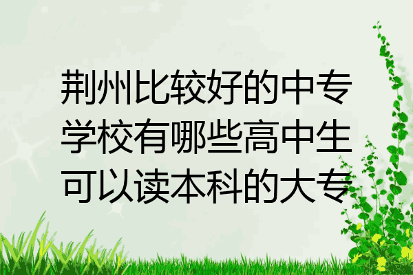 荆州比较好的中专学校有哪些高中生可以读本科的大专