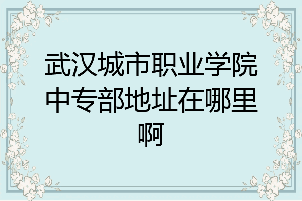 武汉城市职业学院中专部地址在哪里啊