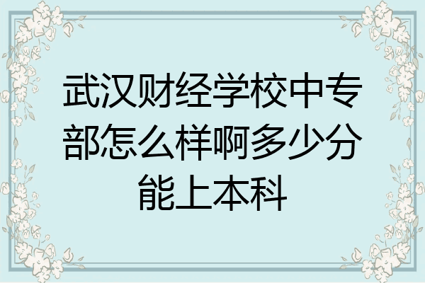 武汉财经学校中专部怎么样啊多少分能上本科