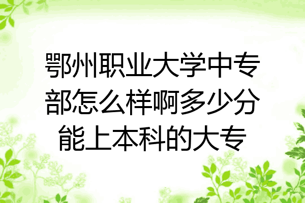 鄂州职业大学中专部怎么样啊多少分能上本科的大专