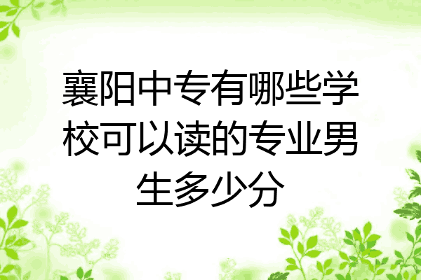 襄阳中专有哪些学校可以读的专业男生多少分
