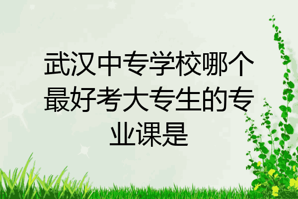 武汉中专学校哪个最好考大专生的专业课是