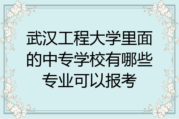 武汉工程大学里面的中专学校有哪些专业可以报考