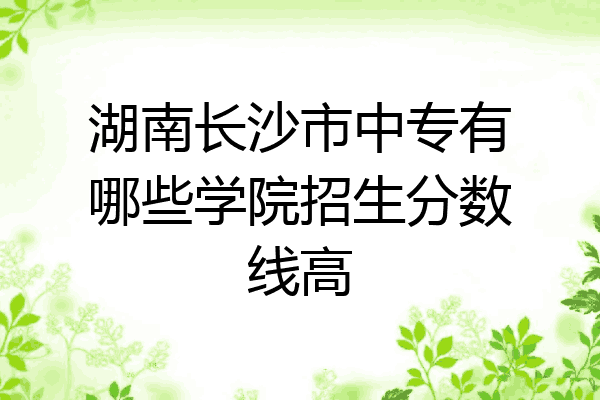 湖南长沙市中专有哪些学院招生分数线高