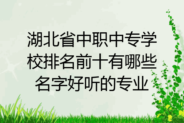 湖北省中职中专学校排名前十有哪些名字好听的专业