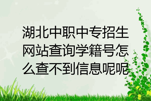 湖北中职中专招生网站查询学籍号怎么查不到信息呢呢