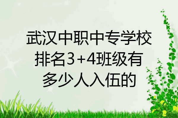 武汉中职中专学校排名3+4班级有多少人入伍的