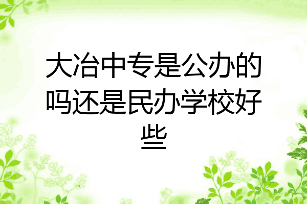 大冶中专是公办的吗还是民办学校好些