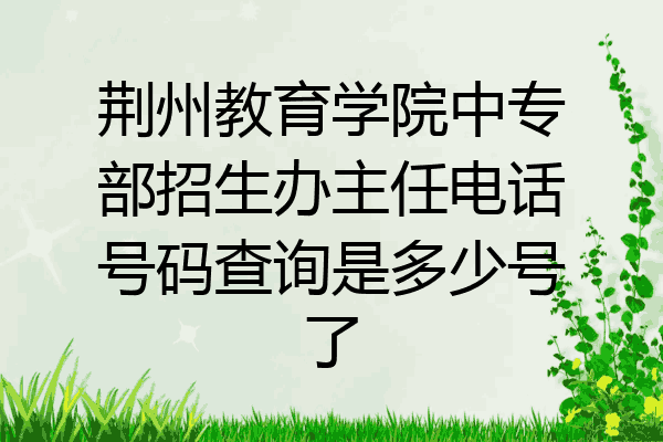 荆州教育学院中专部招生办主任电话号码查询是多少号了