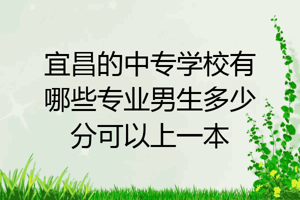 宜昌的中专学校有哪些专业男生多少分可以上一本