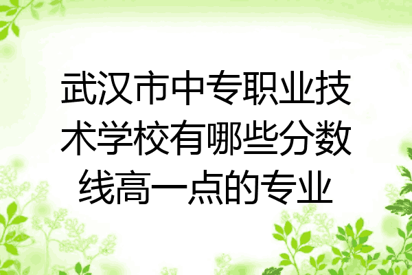 武汉市中专职业技术学校有哪些分数线高一点的专业