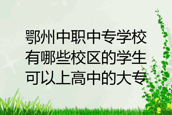 鄂州中职中专学校有哪些校区的学生可以上高中的大专