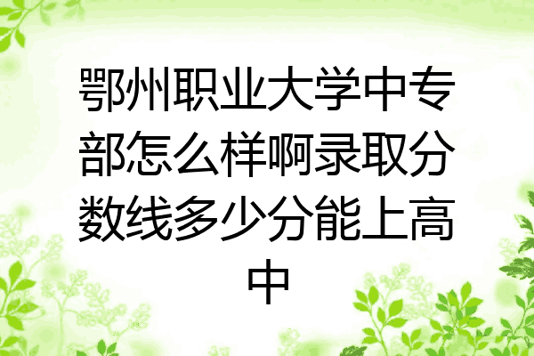 鄂州职业大学中专部怎么样啊录取分数线多少分能上高中