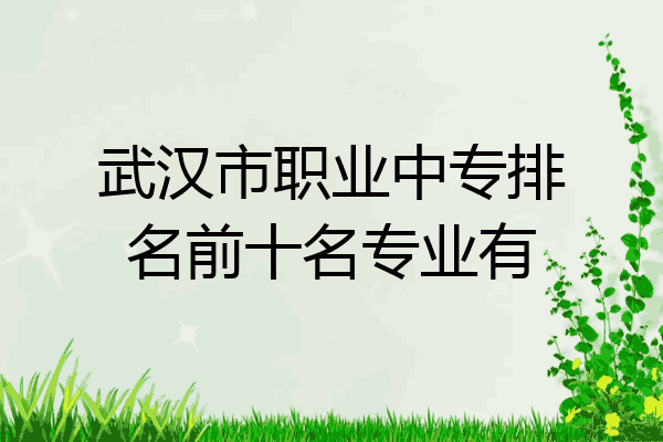 武汉市职业中专排名前十名专业有