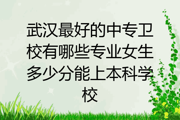 武汉最好的中专卫校有哪些专业女生多少分能上本科学校