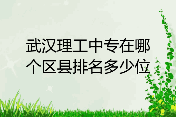 武汉理工中专在哪个区县排名多少位