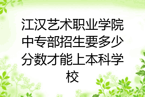 江汉艺术职业学院中专部招生要多少分数才能上本科学校