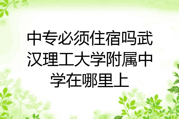 中专必须住宿吗武汉理工大学附属中学在哪里上