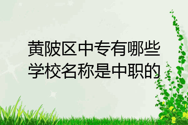 黄陂区中专有哪些学校名称是中职的