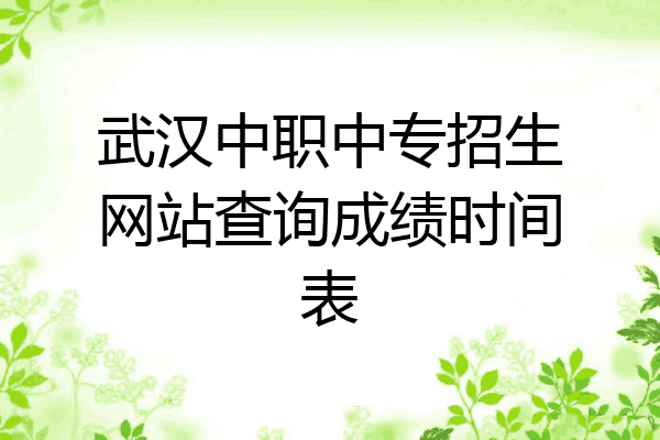 武汉中职中专招生网站查询成绩时间表