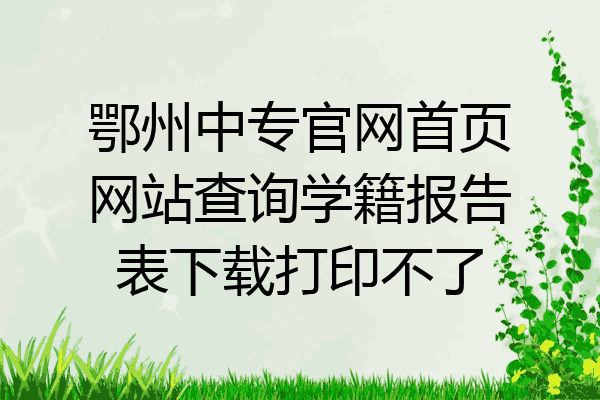 鄂州中专官网首页网站查询学籍报告表下载打印不了
