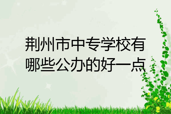 荆州市中专学校有哪些公办的好一点