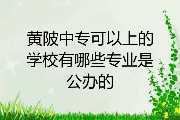 黄陂中专可以上的学校有哪些专业是公办的