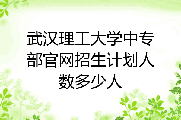武汉理工大学中专部官网招生计划人数多少人