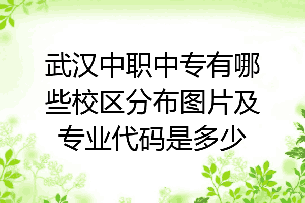 武汉中职中专有哪些校区分布图片及专业代码是多少