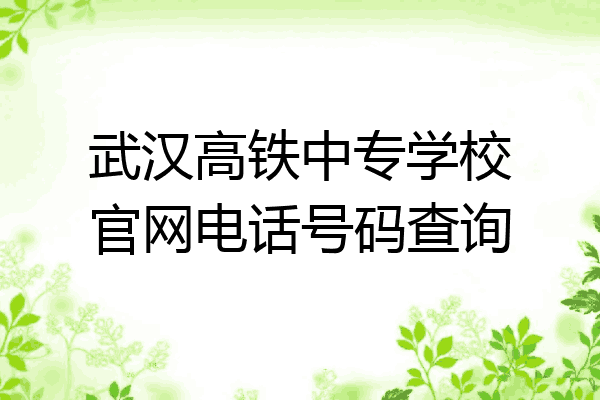 武汉高铁中专学校官网电话号码查询