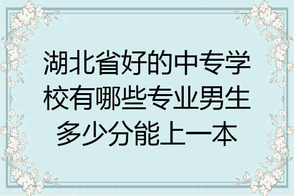 湖北省好的中专学校有哪些专业男生多少分能上一本