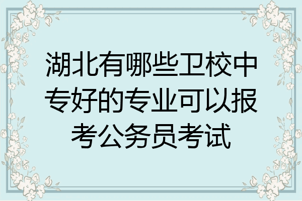 湖北有哪些卫校中专好的专业可以报考公务员考试