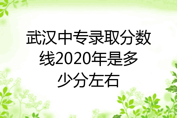 武汉中专录取分数线2020年是多少分左右
