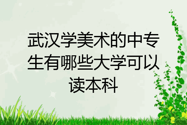 武汉学美术的中专生有哪些大学可以读本科