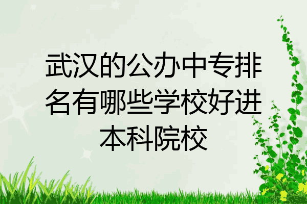 武汉的公办中专排名有哪些学校好进本科院校