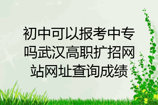 初中可以报考中专吗武汉高职扩招网站网址查询成绩