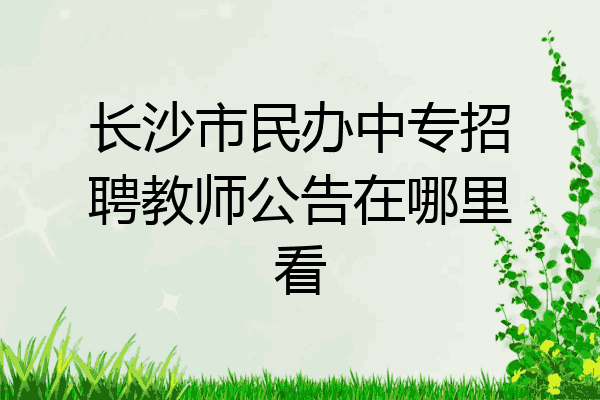 长沙市民办中专招聘教师公告在哪里看