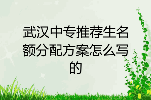 武汉中专推荐生名额分配方案怎么写的