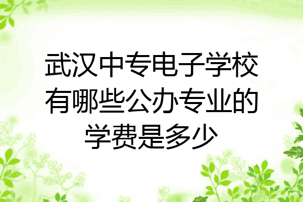 武汉中专电子学校有哪些公办专业的学费是多少
