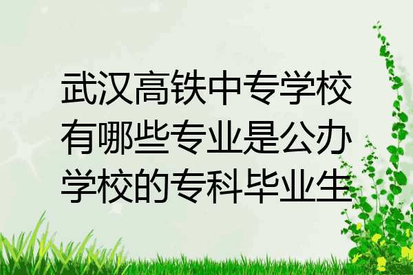 武汉高铁中专学校有哪些专业是公办学校的专科毕业生