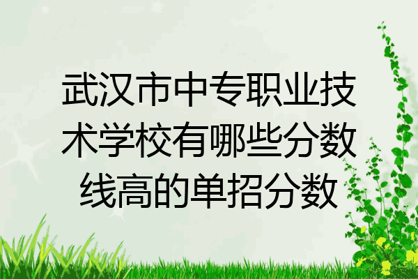 武汉市中专职业技术学校有哪些分数线高的单招分数